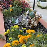 Bed & Breakfast San Pio