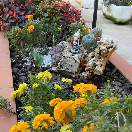 Oda ve Kahvaltı San Pio